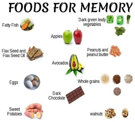 Health & fitness | Top Best Food for increasing your Memory Power ...