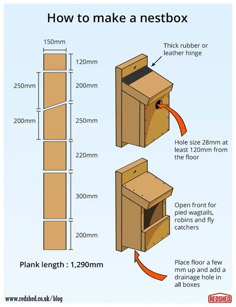 How to build a bird nestbox