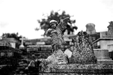 Black and White Photograph of an Angel Statue on a Cemetery · Free ...