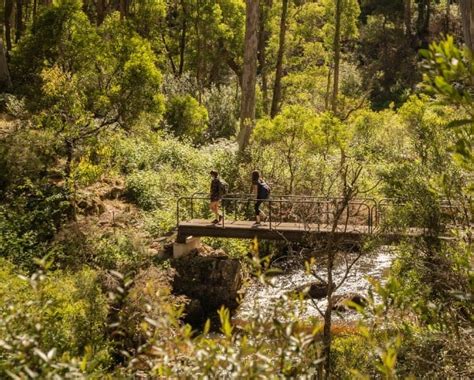 Heritage walking trails in NSW – National Trust