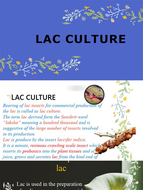 Lac Culture | PDF | Insects | Egg