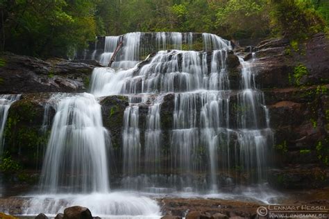 Liffey Falls, Alum Cliffs and Platypus on a single day