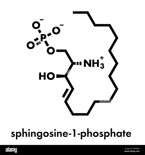 Sphingosine-1-phosphate (S1P) signaling molecule. Skeletal formula ...