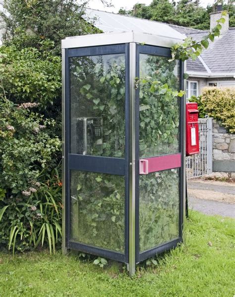 BT Phone Box Hasn’t Been Used For So Long It Has A Hedge Growing In It | HuffPost UK