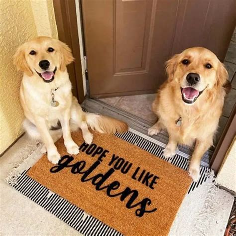 13 BEST Gifts for Golden Retriever Lovers (All Occasions) – Loyal Goldens