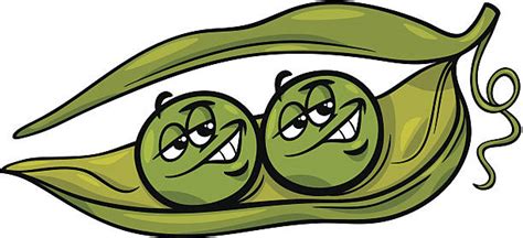 10+ Drawing Of The Two Peas In A Pod Stock Illustrations, Royalty-Free Vector Graphics & Clip ...