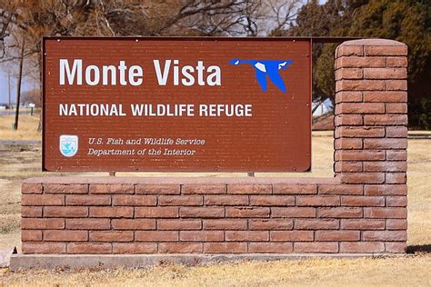 Thor's Hammer: Monte Vista National Wildlife Refuge