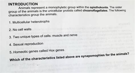 SOLVED: INTRODUCTION Animals represent a monophyletic group within the ...