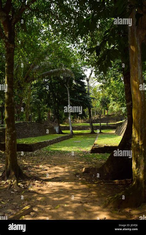 Nim Li Punit Mayan ball court Stock Photo - Alamy