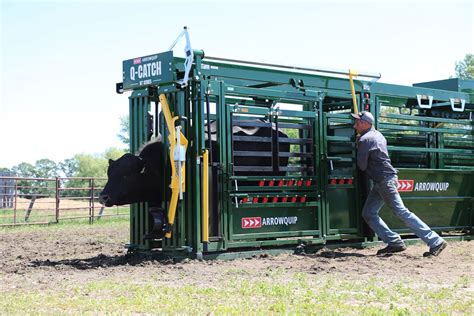 Arrowquip Cattle Handling Equipment - Premier Ag. Inc