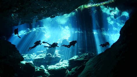 Buceo En Cenotes – 16 Inmersiones únicas