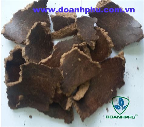 DOANH PHU CO., LTD