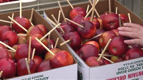 National Apple Harvest Festival is on this weekend, despite the rain ...