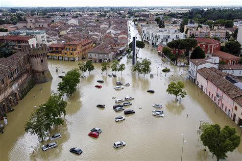 Italian floods - Tortoise