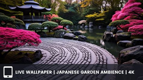 Live Wallpaper Japanese Garden Ambience | 4k - YouTube