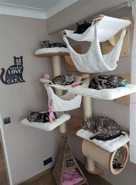 Animal Room, Cat Room Decor, Dog Decor, Gato Diy, Diy Cat Tree, Cat House Diy, Cat Towers, Cat ...