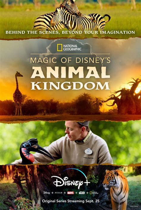 Disney+ to Release National Geographic Docu-Series "Magic of Disney's ...