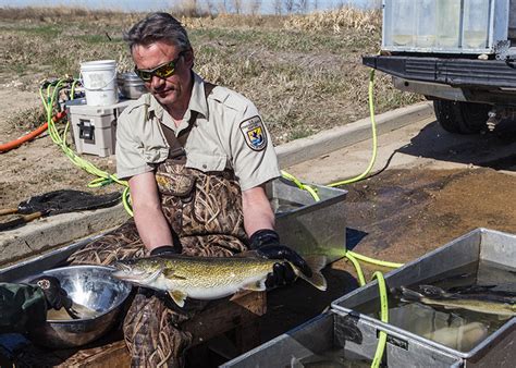 Fishing Report Card Revisited | North Dakota Game and Fish