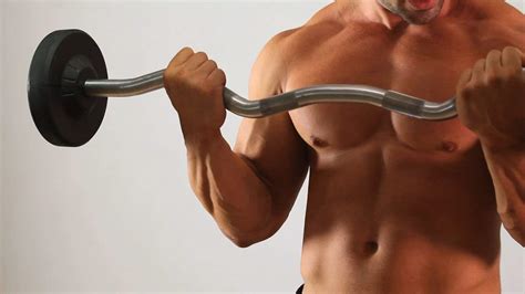 Barbell Curl (Biceps) – Fitness Volt