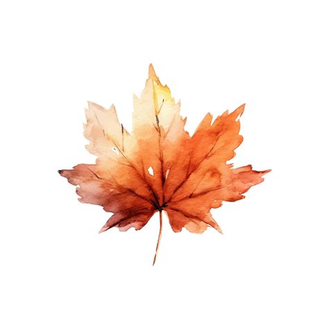 Premium Vector | Watercolor autumn leaves