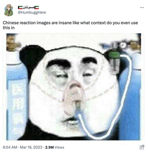 Chinese Panda Memes (Copium) | Chinese Panda Reaction Images / Biaoqing Panda Head / 熊猫人表情包 ...