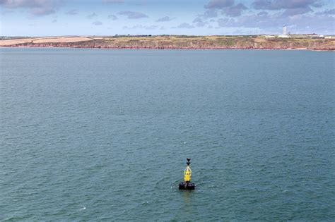 South Hook South Cardinal Buoy © David P Howard cc-by-sa/2.0 :: Geograph Britain and Ireland