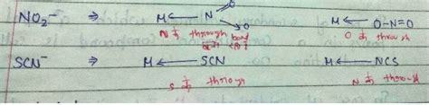 [Expert Verified] Example of ambidentate ligand - Brainly.in