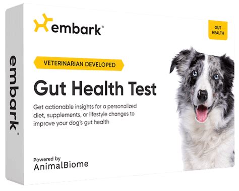 Dog Microbiome Gut Health Test: How They Work, Best Kits & Benefits - Canine Bible