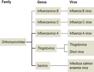 Orthomyxoviridae | Veterian Key