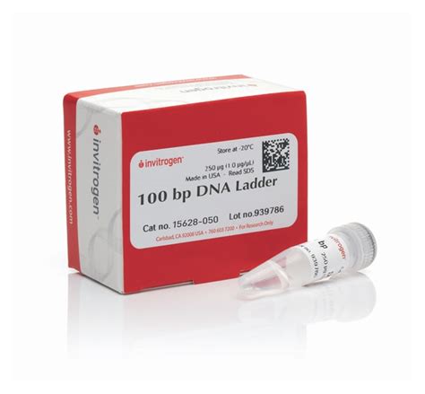 Invitrogen 100 bp DNA Ladder:Gel Electrophoresis Equipment and Supplies:Gel | Fisher Scientific