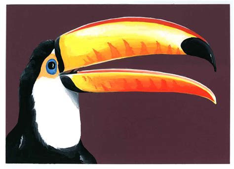 The Toucan - Henry Fraser Art