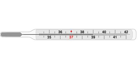 Download free photo of Thermometer,medical,clinical thermometer ...