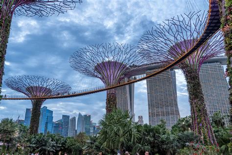 Singapore's Amazing Gardens by the Bay and Marina Bay Sands | Andy's Travel Blog