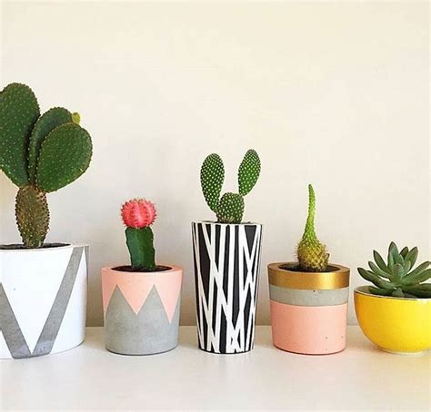 Decorative Plant Pots Cactus arrangements ideas #Cactusarrangements #a | Plant pot decoration ...