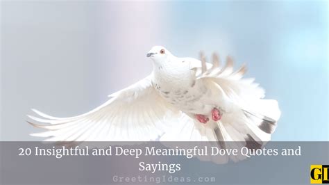 20 Insightful and Deep Meaningful Dove Quotes and Sayings