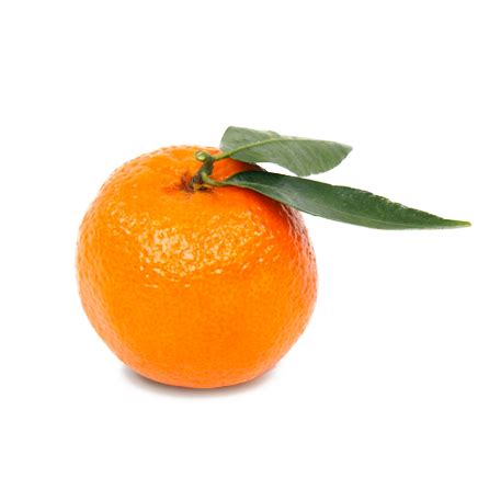 Branded Tangerine (100-Pack) – Branded Fruit