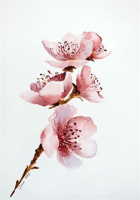 How to paint Cherry Blossom in Watercolor: step by step guide to aquarelle FLOWERS | Yana Shvets ...