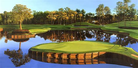 Tpc Sawgrass Golf Course Wallpaper