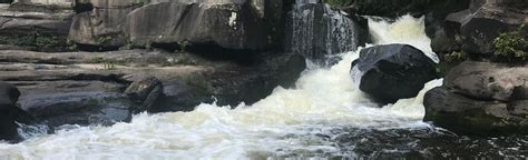 Bear Creek Paddle Route: 12 Reviews, Map - Alabama | AllTrails