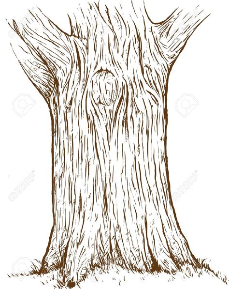 Tree bark clipart 20 free Cliparts | Download images on Clipground 2024