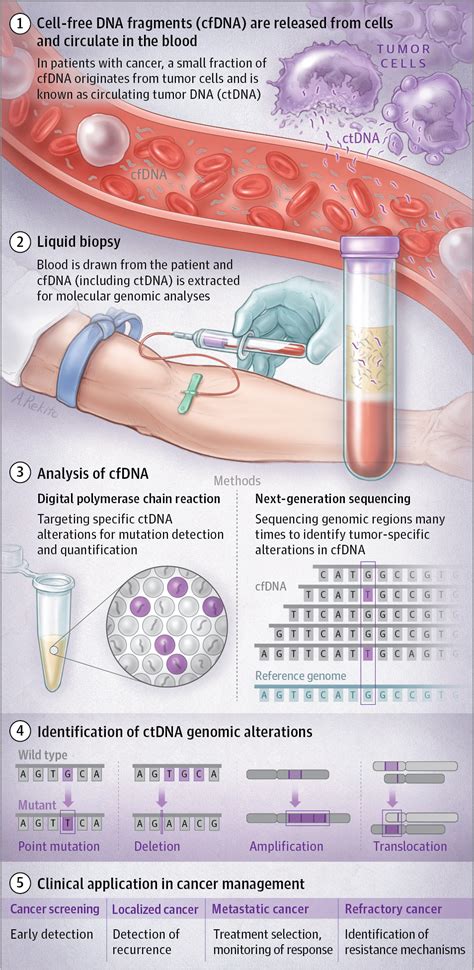 Cancer DNA in the Circulation: The Liquid Biopsy | Cancer Biomarkers | JAMA | JAMA Network