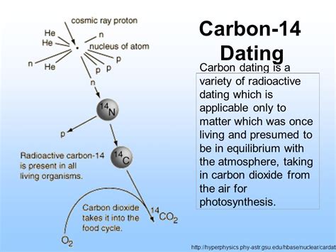 12 Carbon Dating – Telegraph