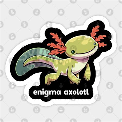 Enigma Axolotl Cute Melanoid Mexican Salamander Fish - Enigma Axolotl ...