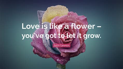 John Lennon Quote: “Love is like a flower – you’ve got to let it grow.”