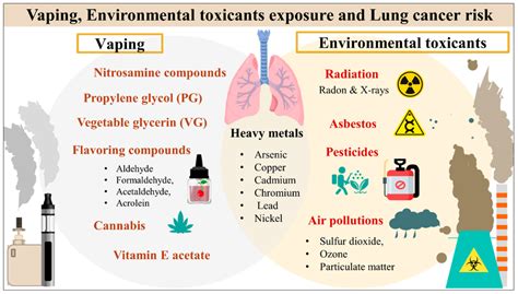 Vaping products and environmental toxicants exposure and lung cancer risk. | Download Scientific ...