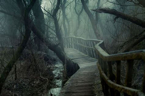 This Hidden Chilling Forest Path Looks Like A Trail To Mordor – Design You Trust — Design Daily ...