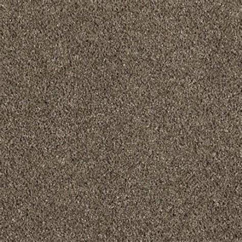 LifeProof Carpet Sample - Pagliuca II - Color Dried Peat Texture 8 in ...