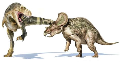 Triceratops vs T-Rex: Who Would Win in a Fight? - A-Z Animals