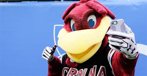 South Carolina football team to be recognized at upcoming Gamecocks ...