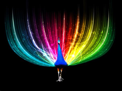 Rainbow Peacock | RAINBOWS | Pinterest